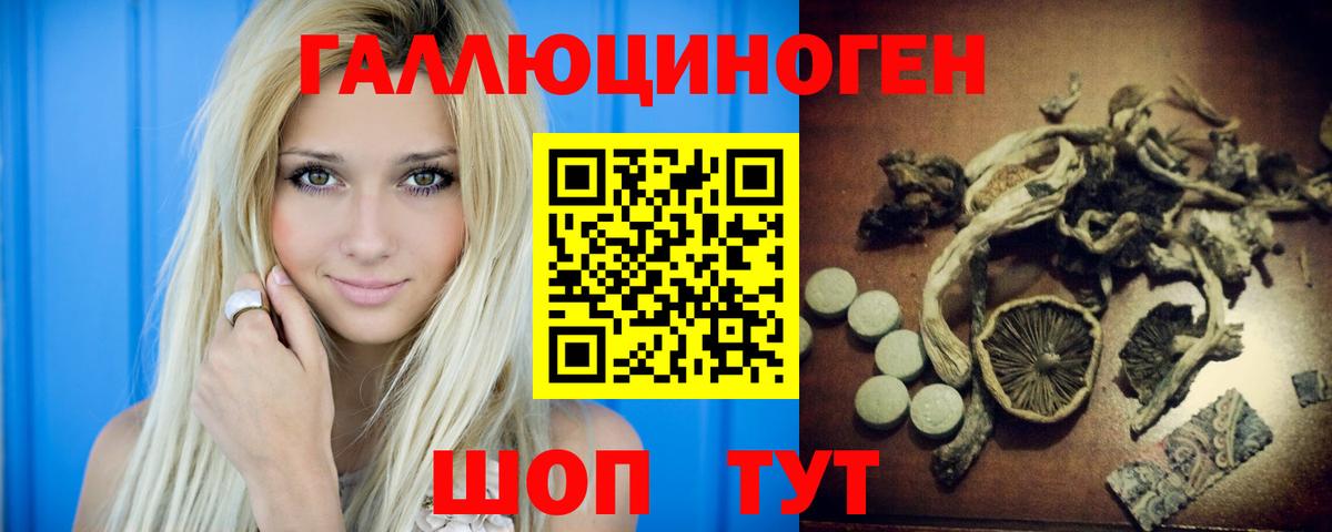 Псилоцибиновые грибы Psilocybe Кировск